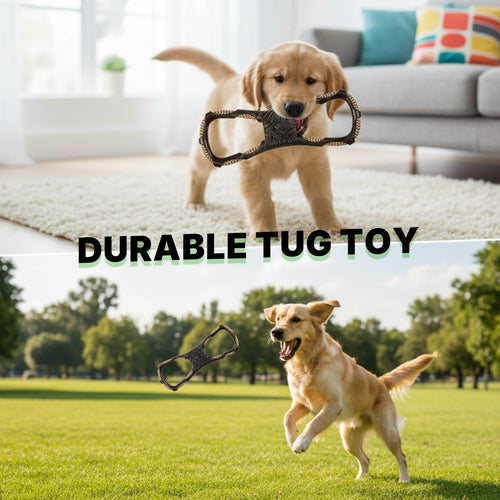 Dog Tug Toy