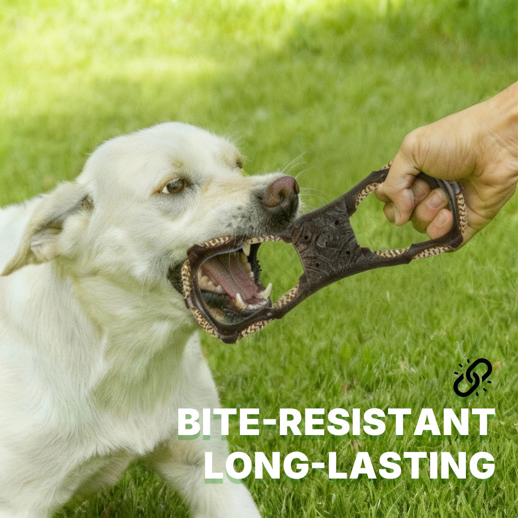 Dog Tug Toy