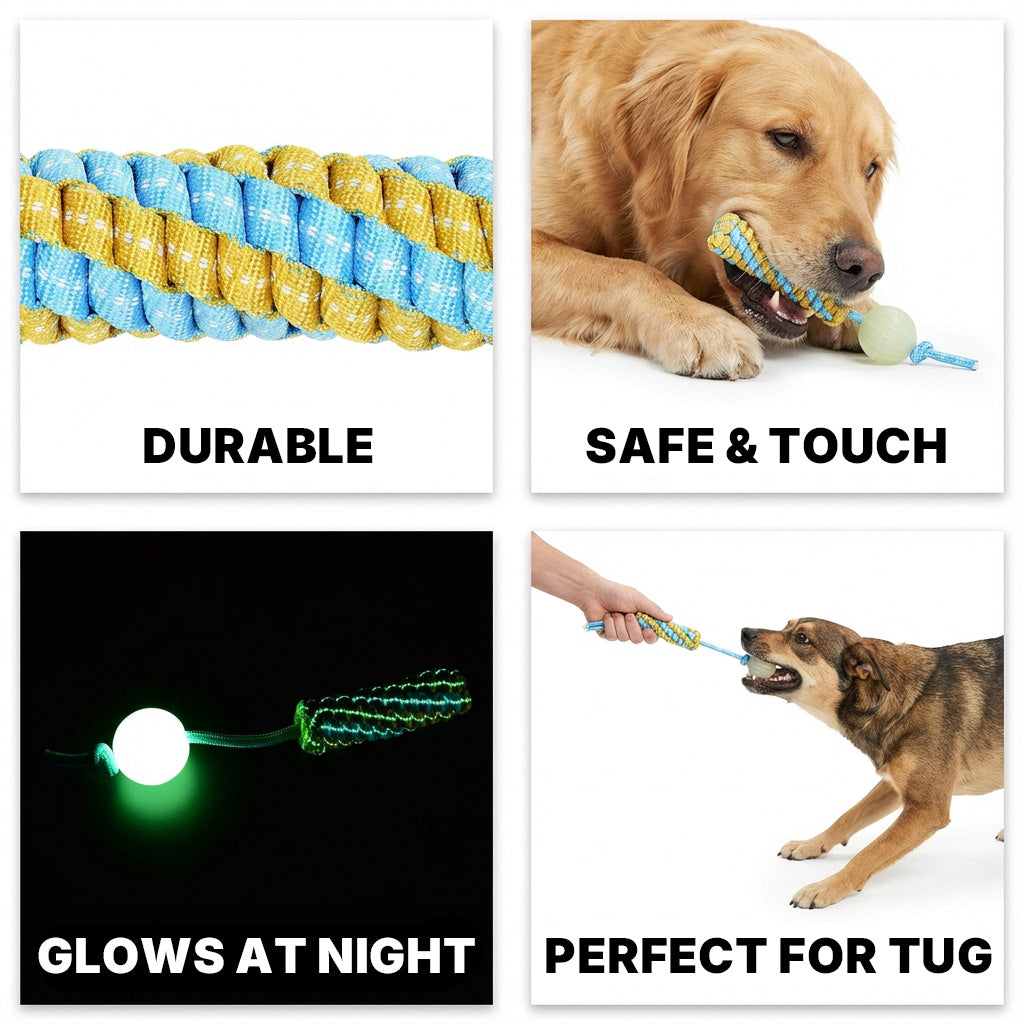 Night-Glow Chew Toy with Squeak