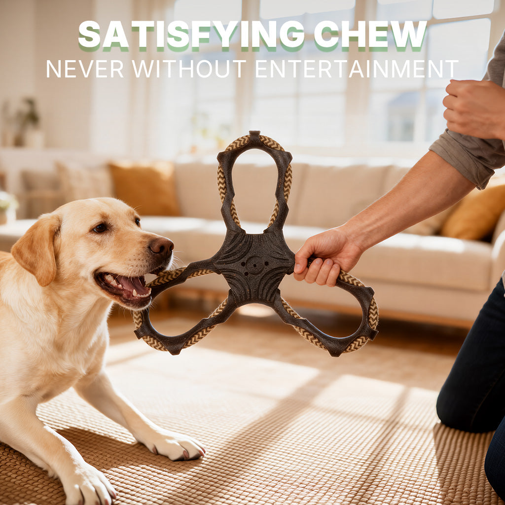 Multi-Dog Tug Toy