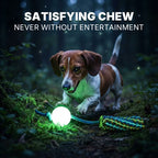 Night-Glow Chew Toy with Squeak