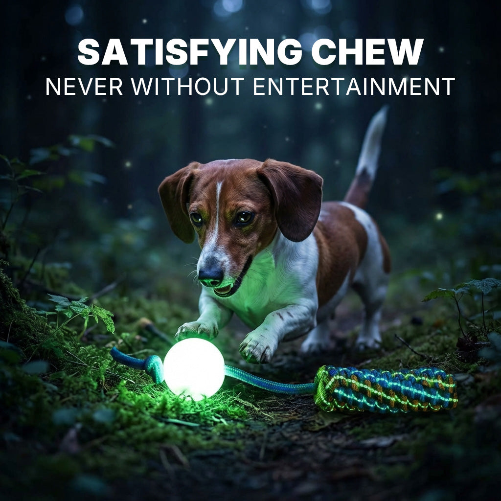 Night-Glow Chew Toy with Squeak