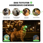 Night-Glow Chew Toy with Squeak