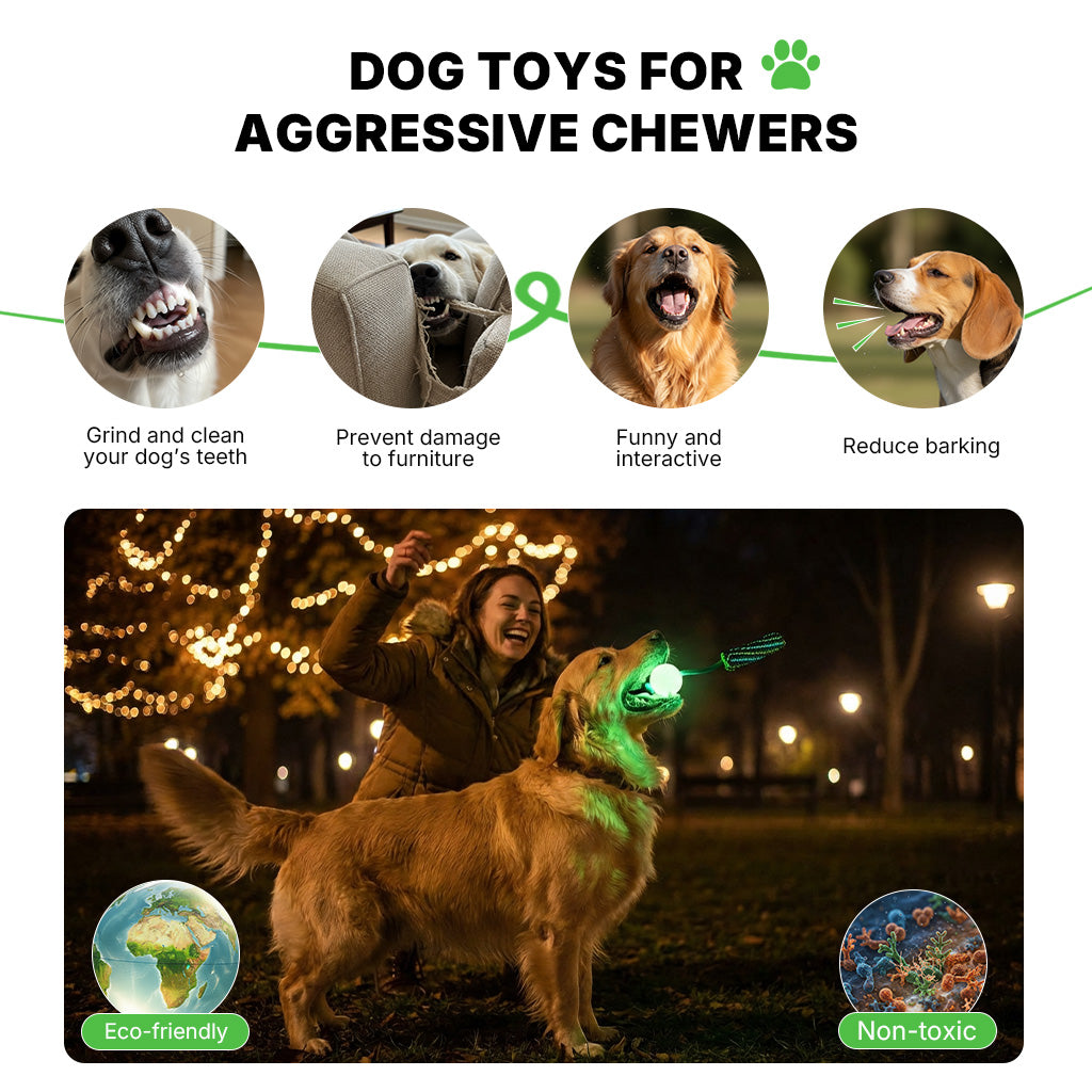 Night-Glow Chew Toy with Squeak